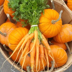 fresh carrots on top of basket of pumpkins