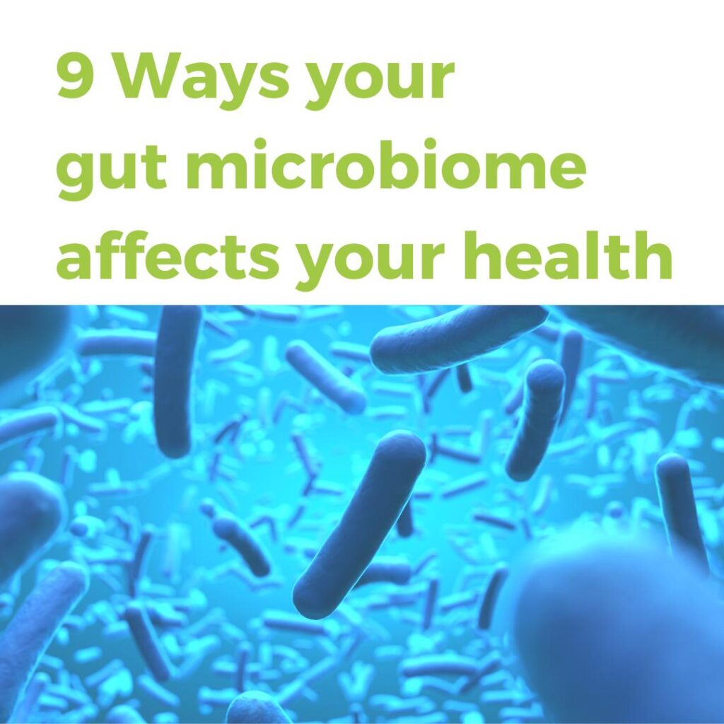 gut bacteria and other gut microbiome organisms on blue background with text above