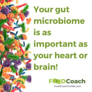 artist's colorful depiction of gut microbiome showing bacteria, viruses, and other geometric shapes in bright colors
