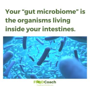 Artist's interpretation of gut microbiome with different organisms floating on blue background