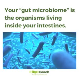 Artist's interpretation of gut microbiome with different organisms floating on blue background